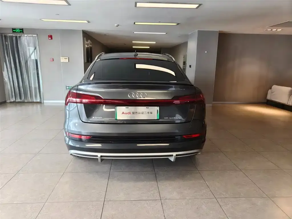 Audi e-tron (Import) — фото 3