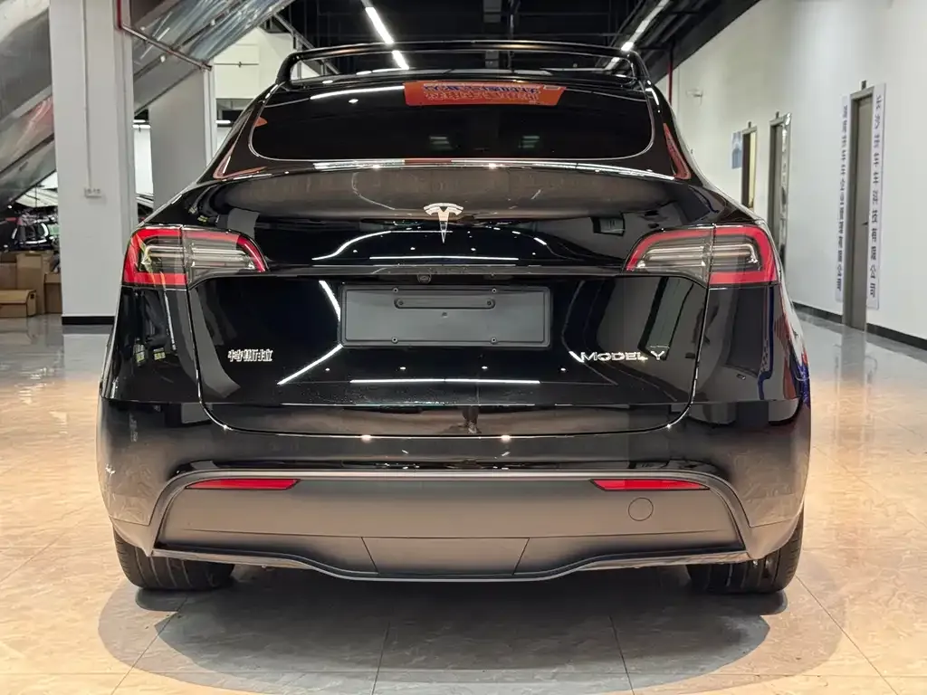 Tesla Model Y — фото 6