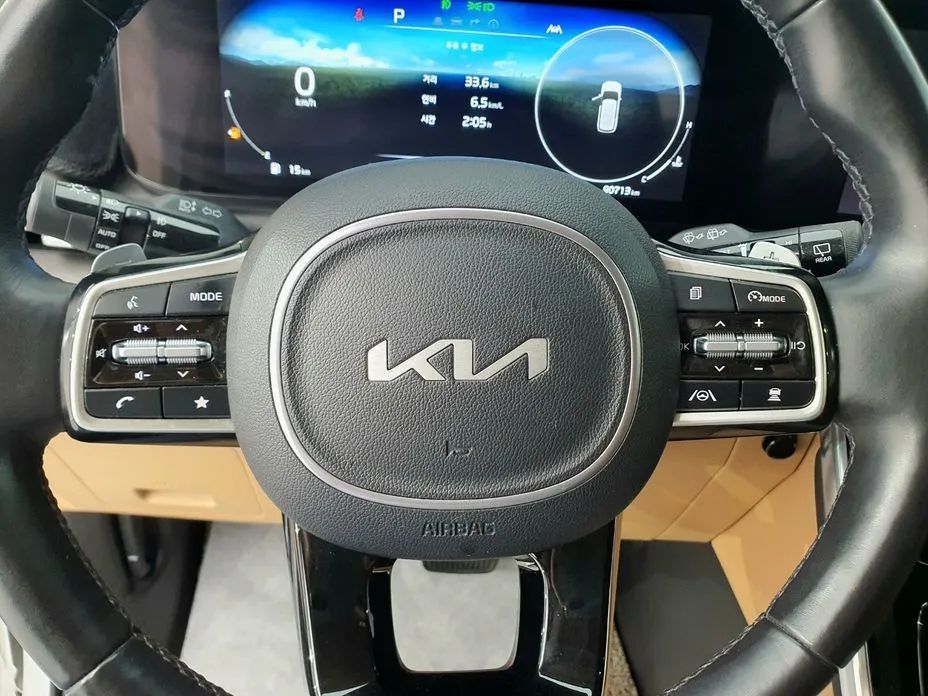 Kia Carnival — фото 10