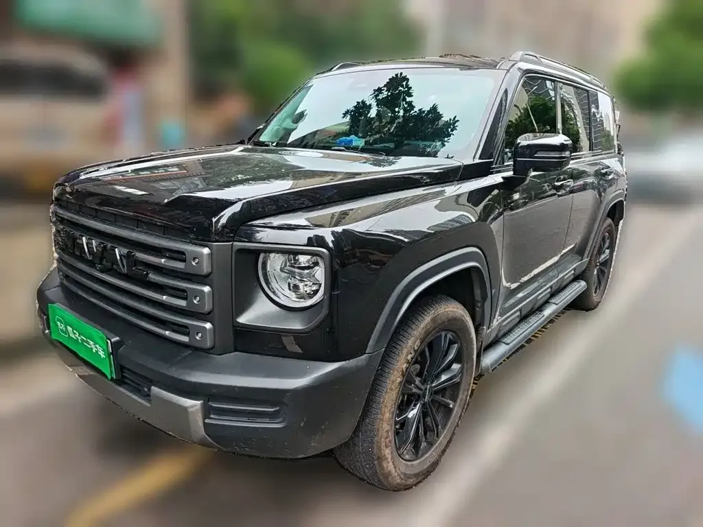 Haval Menglong New Energy — фото 1