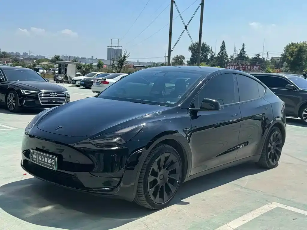 Tesla Model Y — фото 1