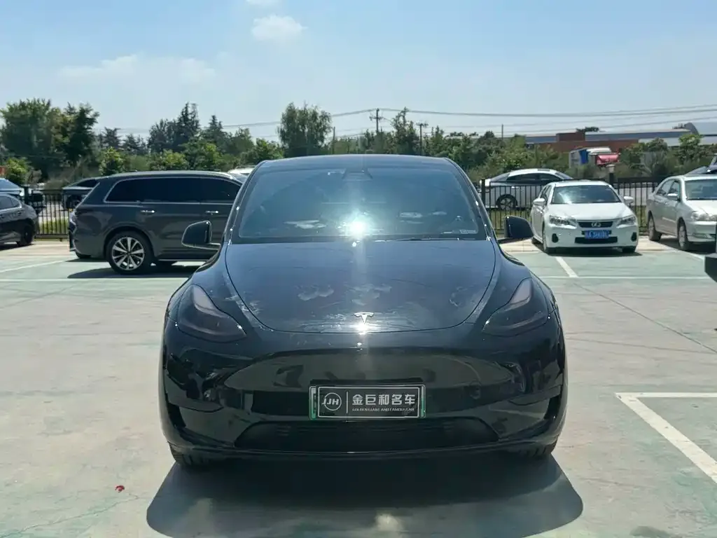 Tesla Model Y — фото 9