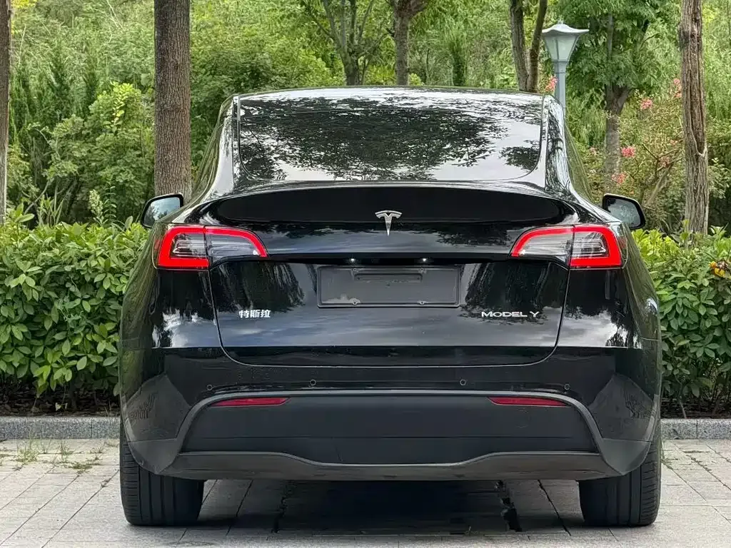 Tesla Model Y — фото 6