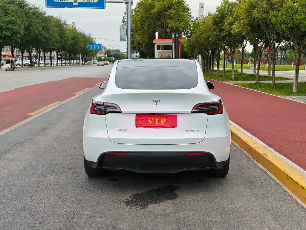 Tesla Model Y — фото 5