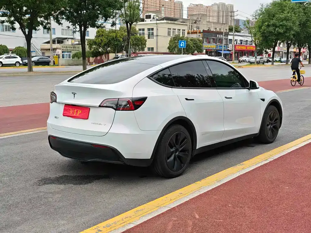 Tesla Model Y — фото 6