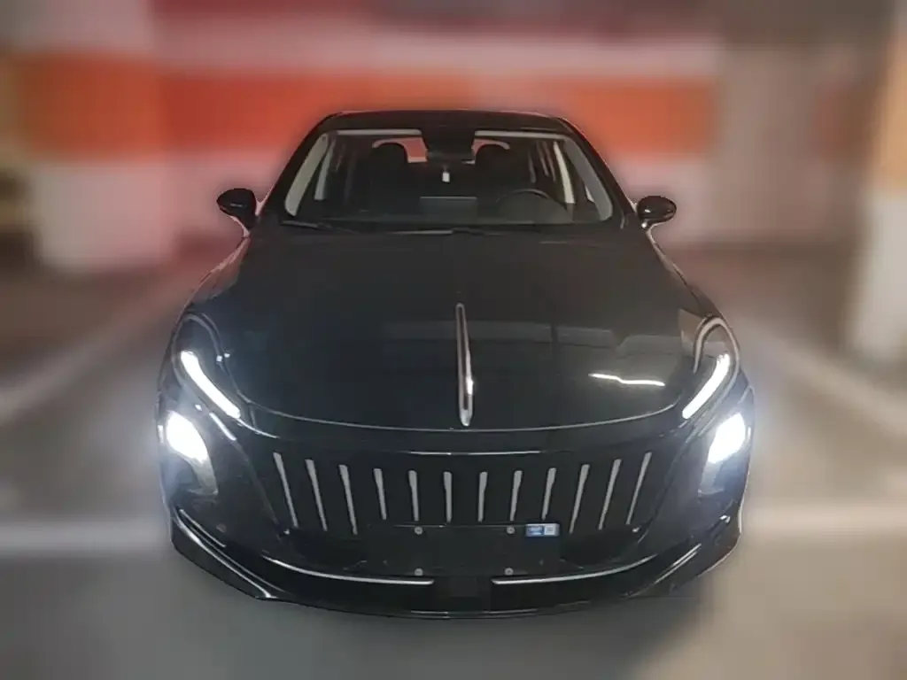 Hongqi E-QM5 — фото 7