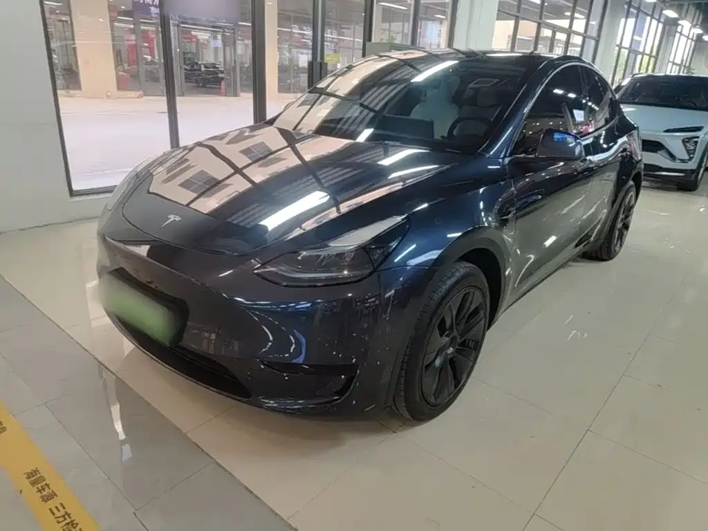 Tesla Model Y — фото 1
