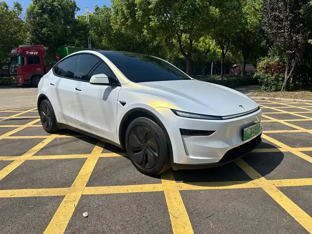 Tesla Model Y — фото 6