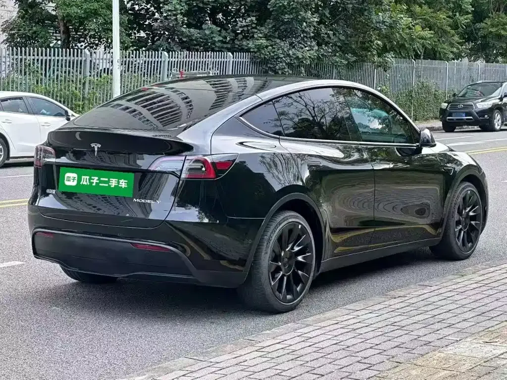Tesla Model Y — фото 9