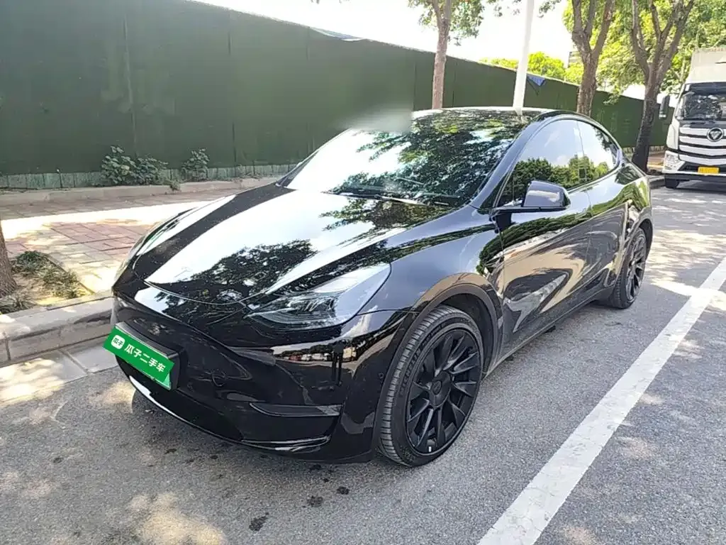 Tesla Model Y — фото 1
