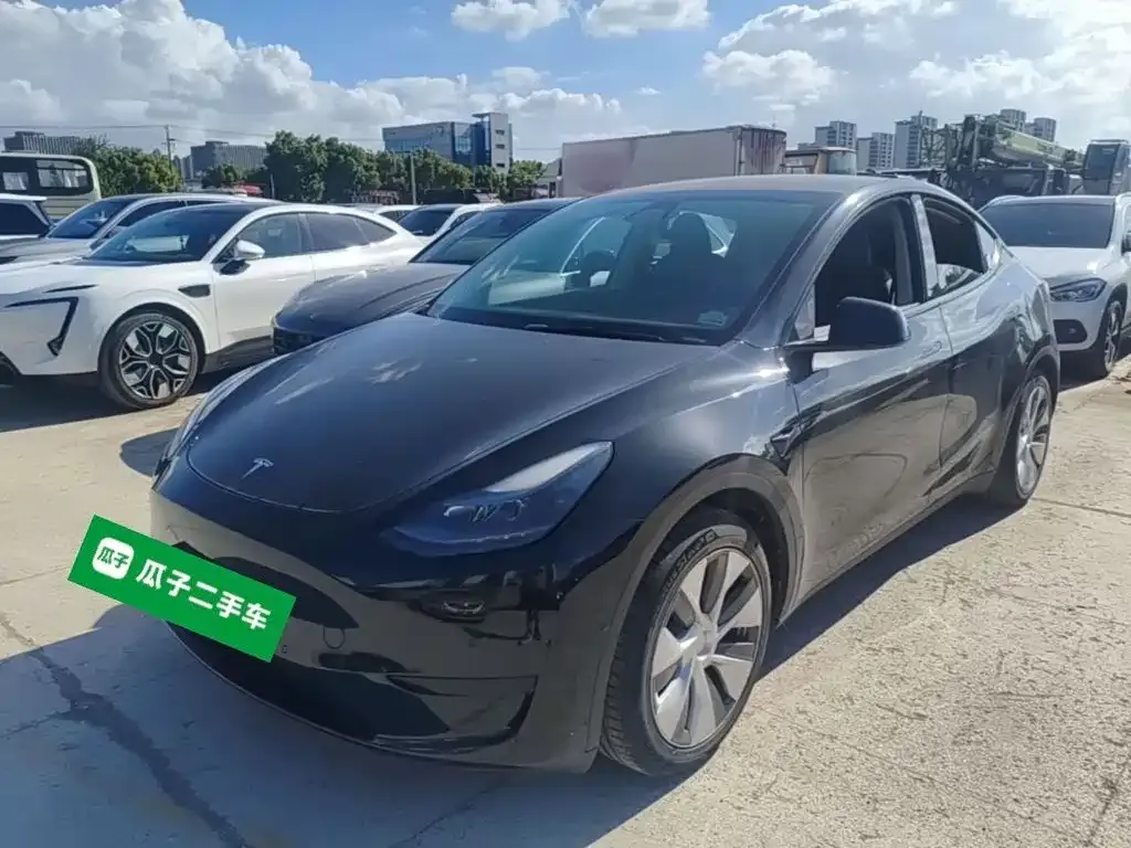Tesla Model Y — фото 8