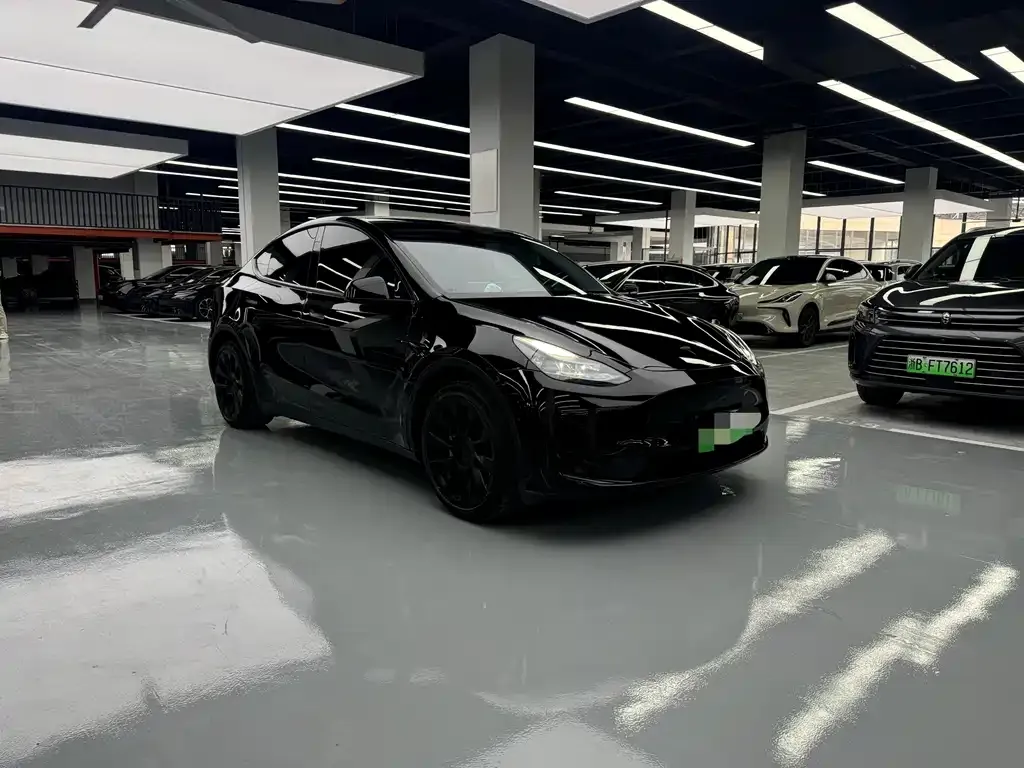 Tesla Model Y — фото 10