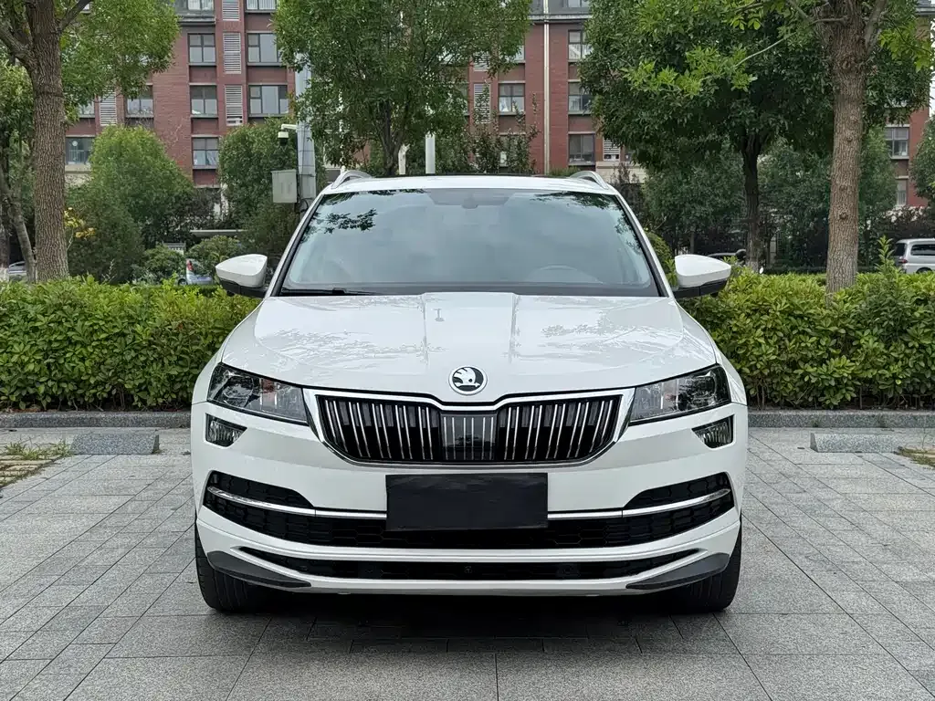 Skoda Karoq — фото 7