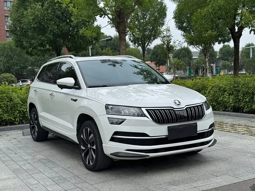 Skoda Karoq — фото 5