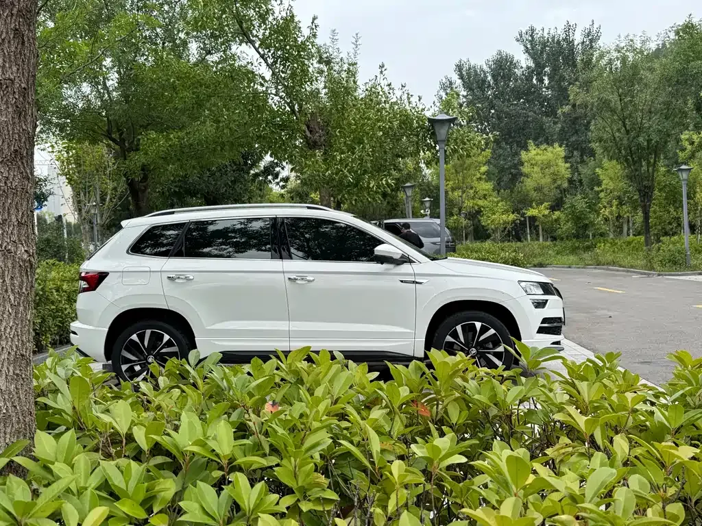 Skoda Karoq — фото 6