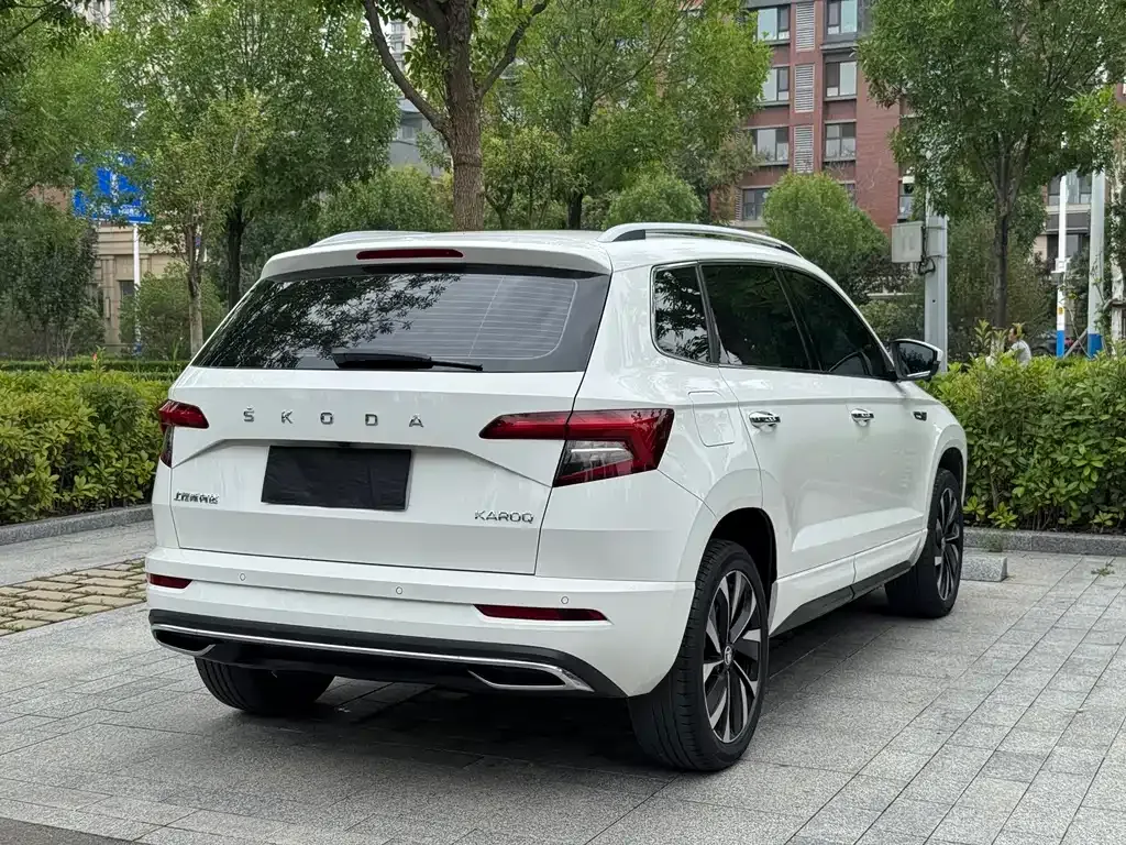 Skoda Karoq — фото 4