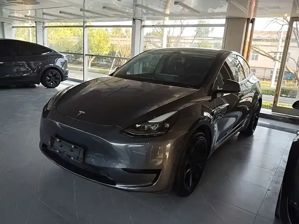 Tesla Model Y — фото 7
