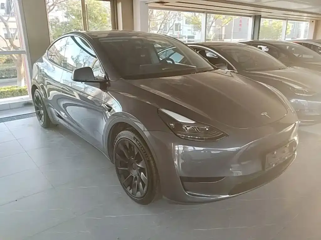 Tesla Model Y — фото 9
