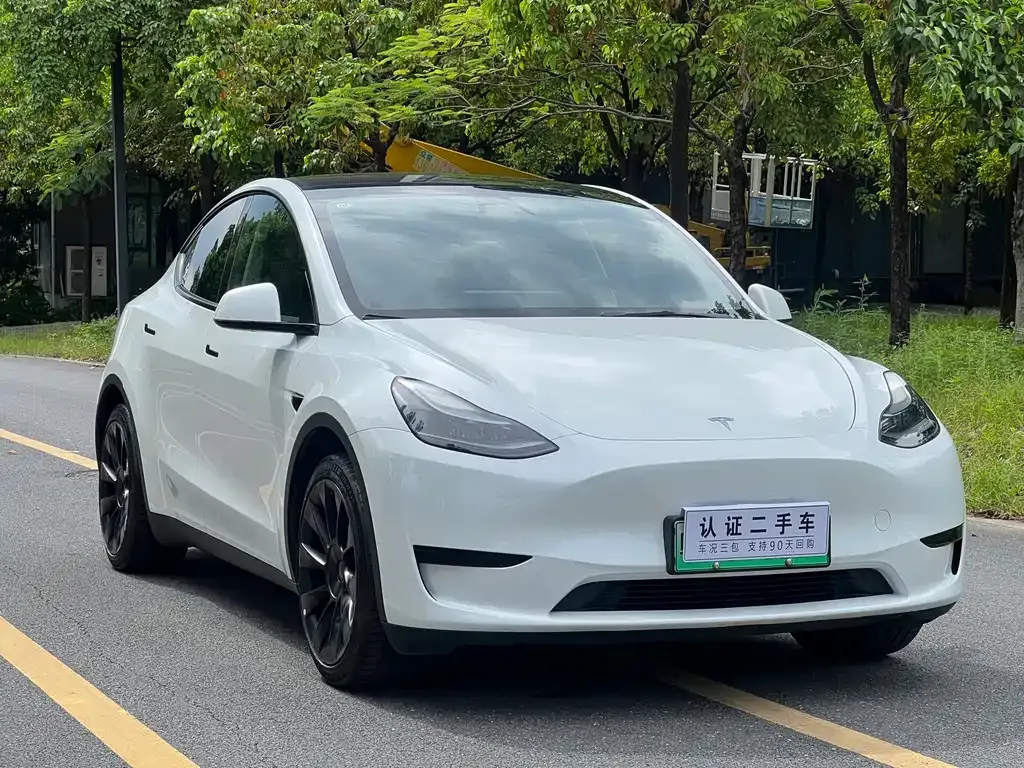 Tesla Model Y — фото 7