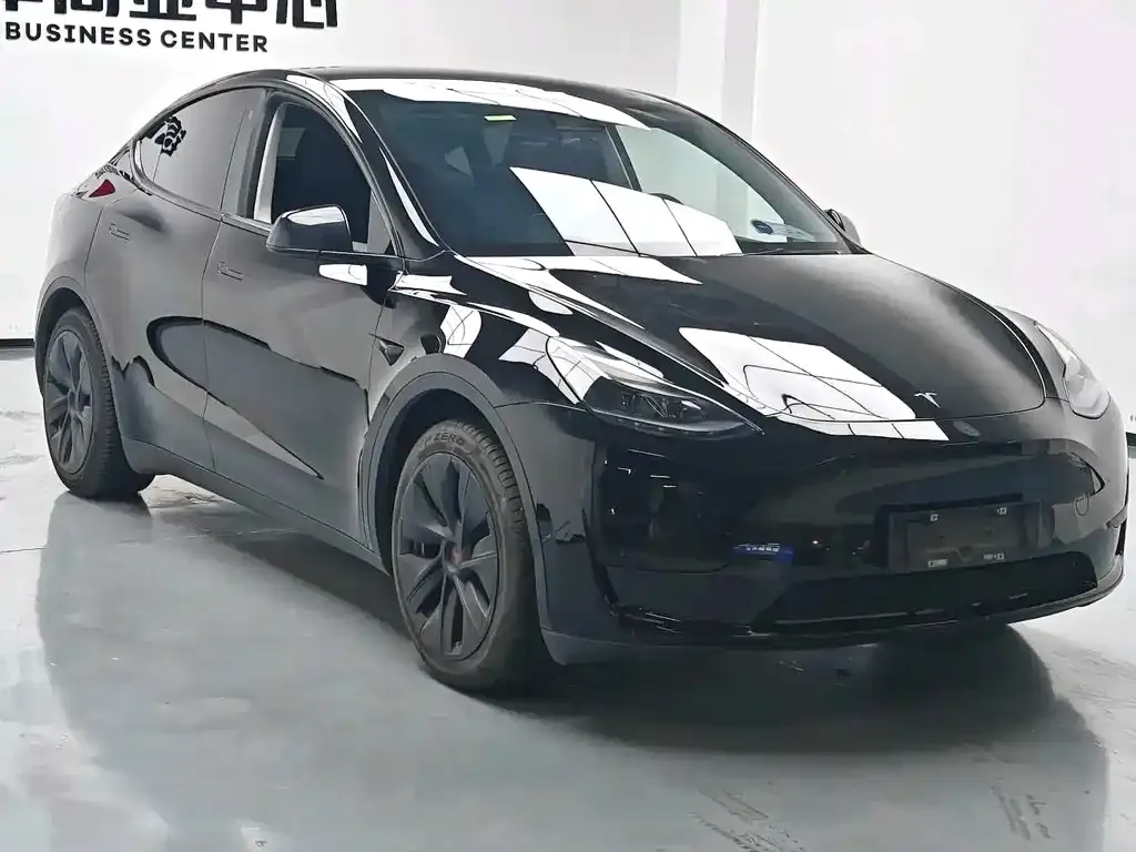 Tesla Model Y — фото 10