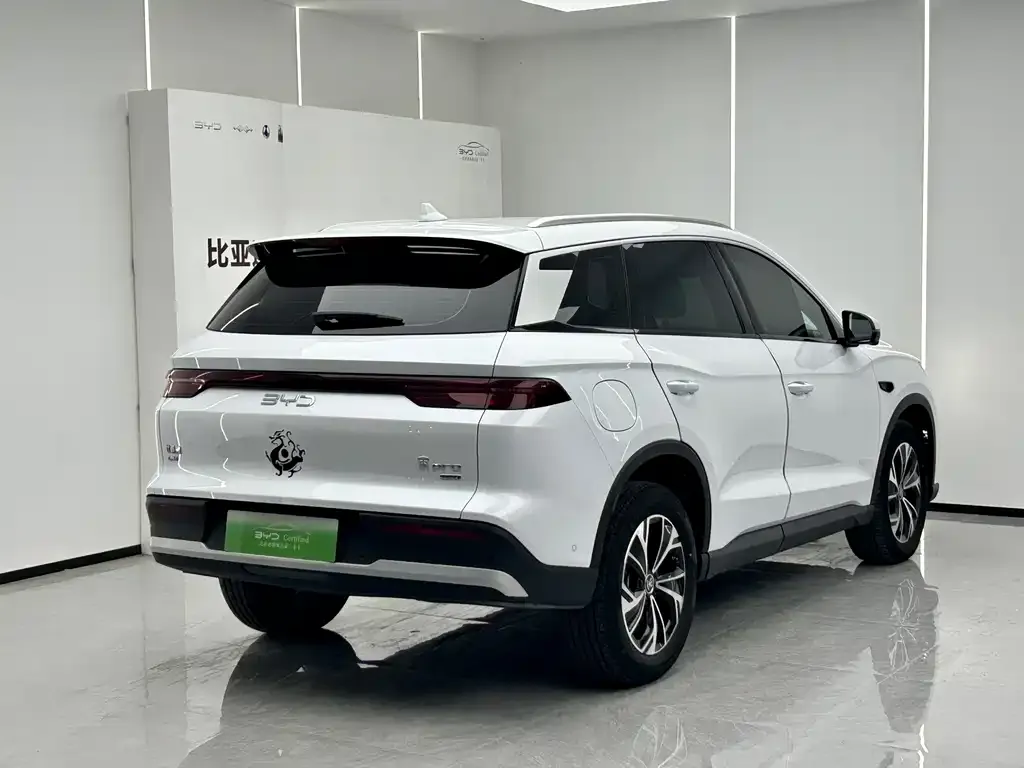 BYD Pro New Energy — фото 10