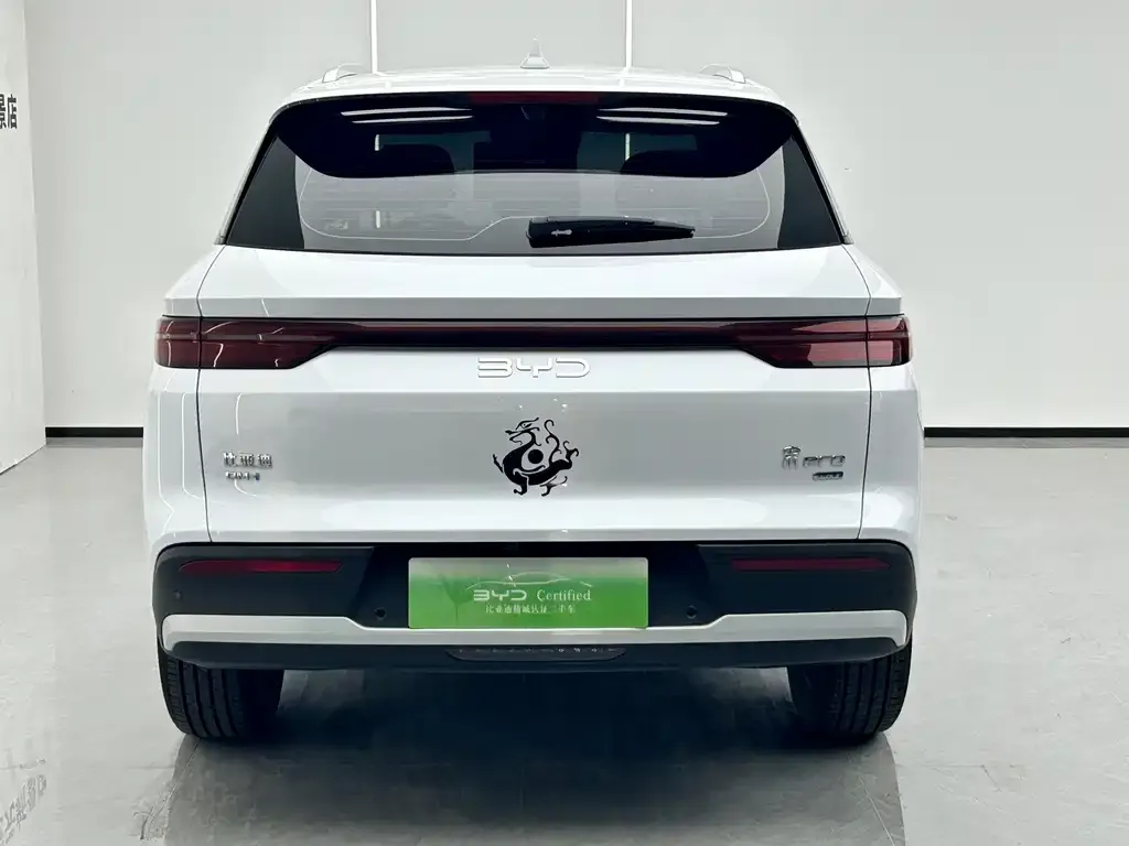 BYD Pro New Energy — фото 2