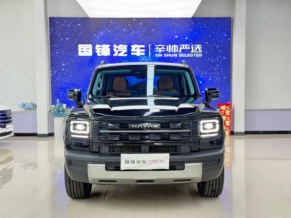 Haval Menglong New Energy — фото 8