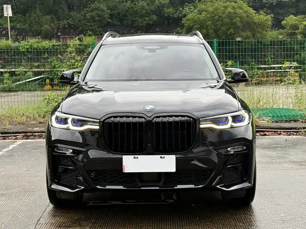 BMW X7 — фото 10