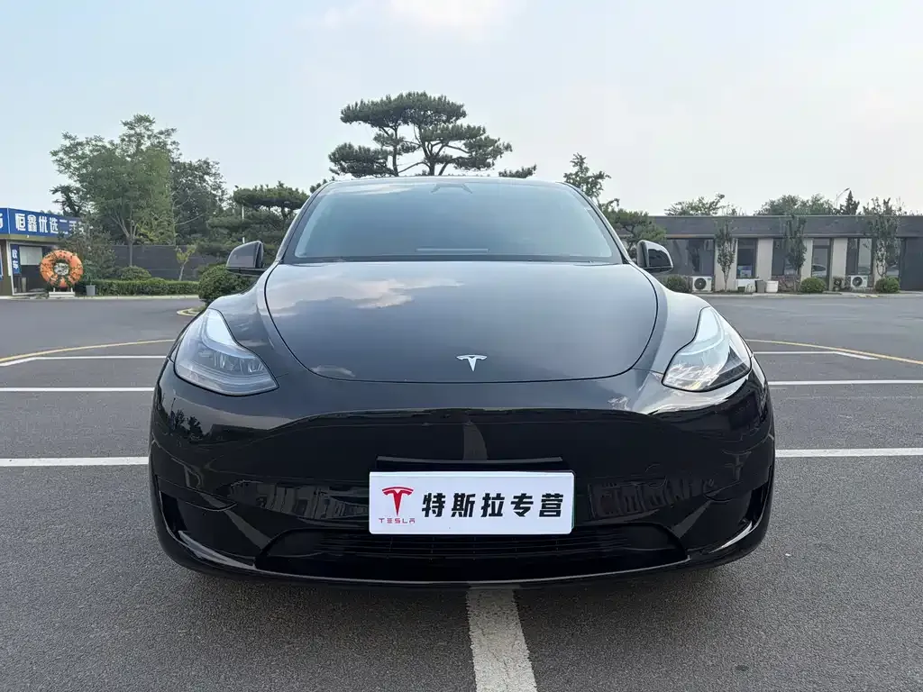 Tesla Model Y — фото 2