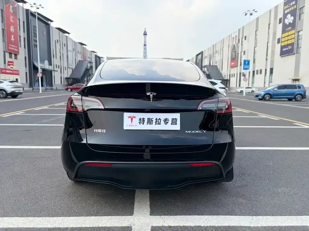 Tesla Model Y — фото 8
