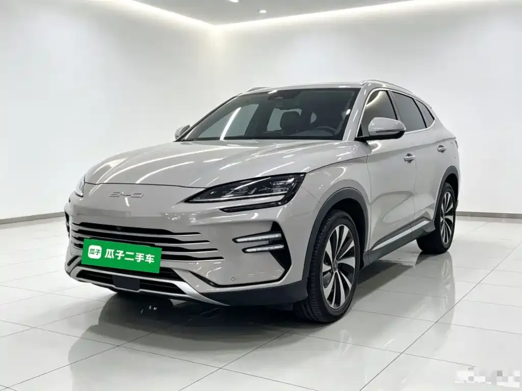 BYD PLUS New Energy — фото 1