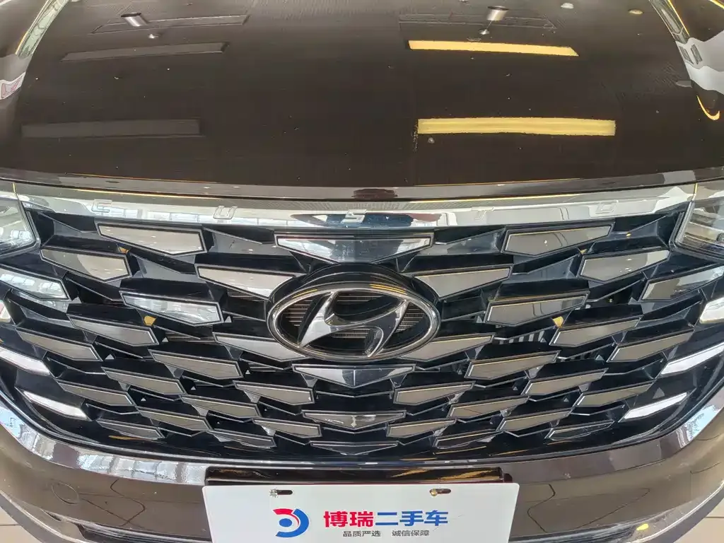 Hyundai Custo — фото 7