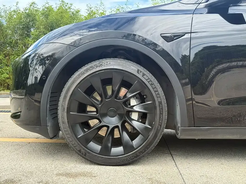 Tesla Model Y — фото 6