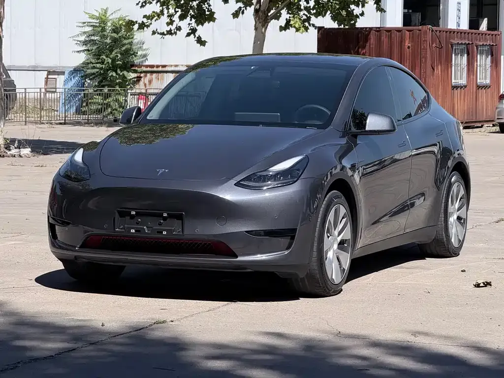 Tesla Model Y — фото 1