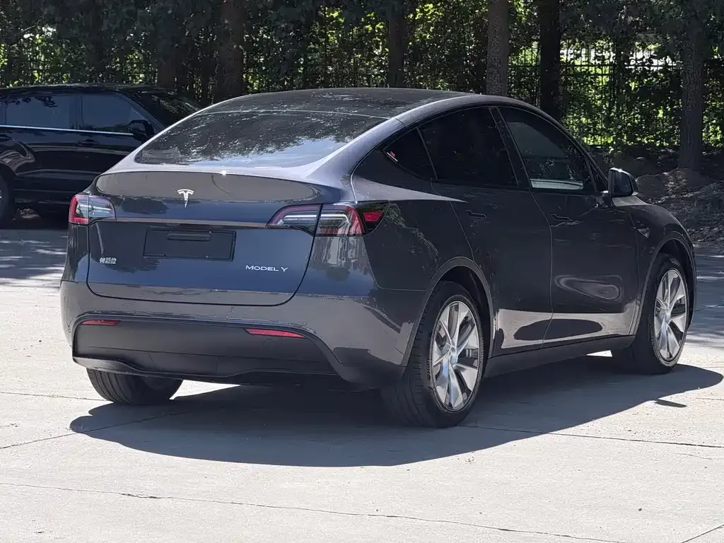 Tesla Model Y — фото 7