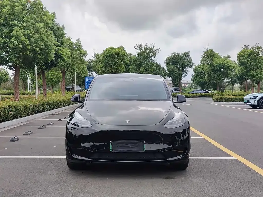 Tesla Model Y — фото 2
