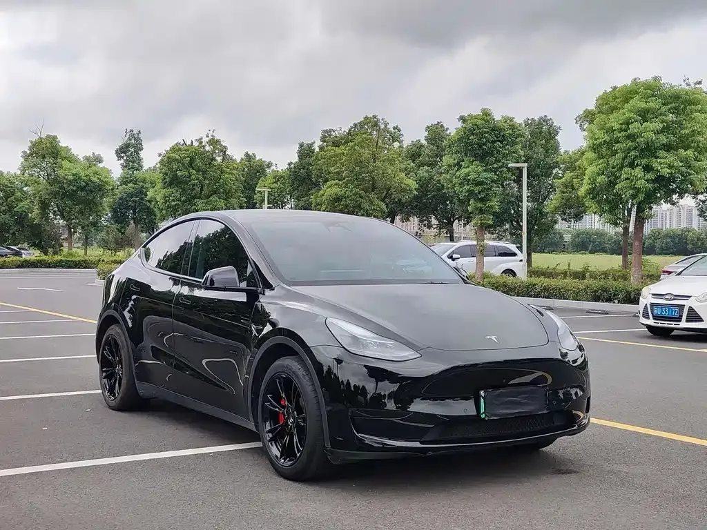 Tesla Model Y — фото 8