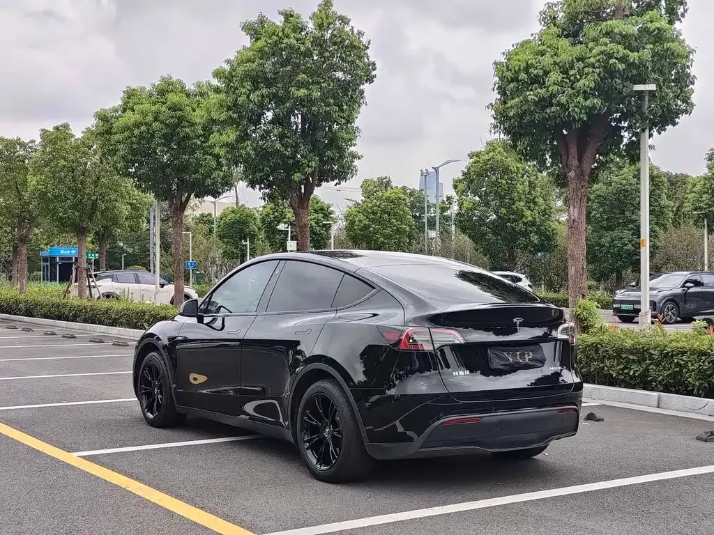 Tesla Model Y — фото 9