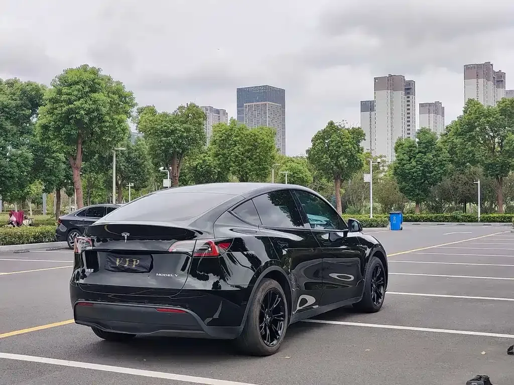 Tesla Model Y — фото 6