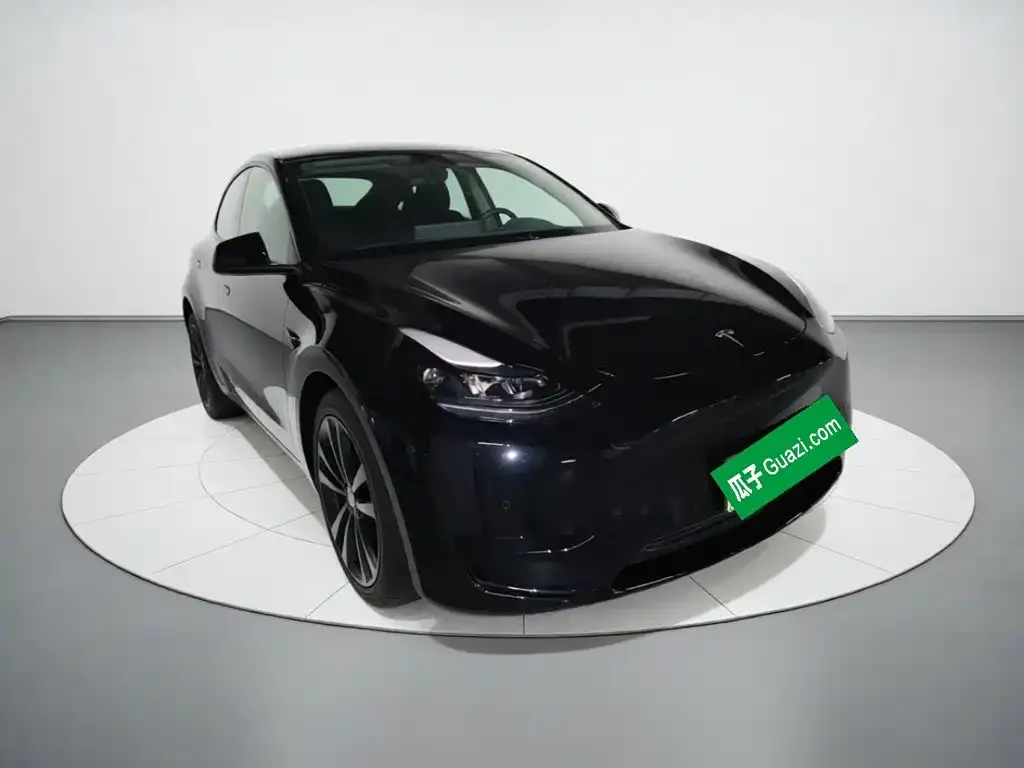 Tesla Model Y — фото 5