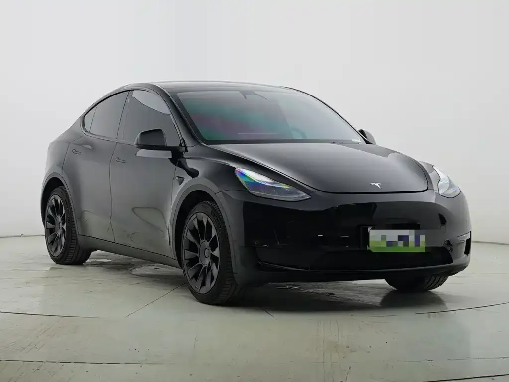 Tesla Model Y — фото 2