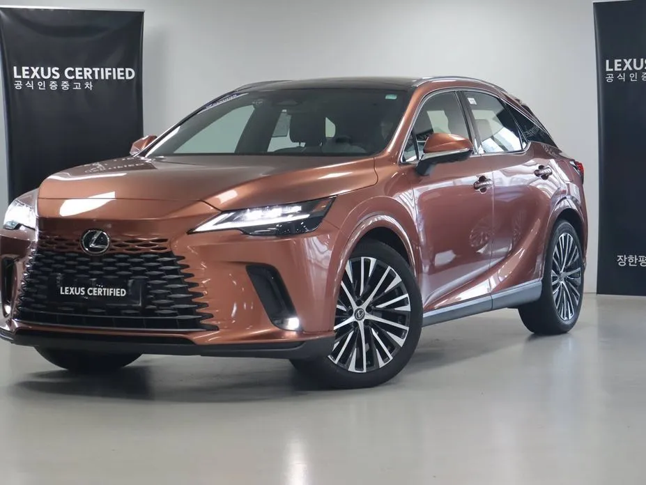 Lexus RX — фото 1