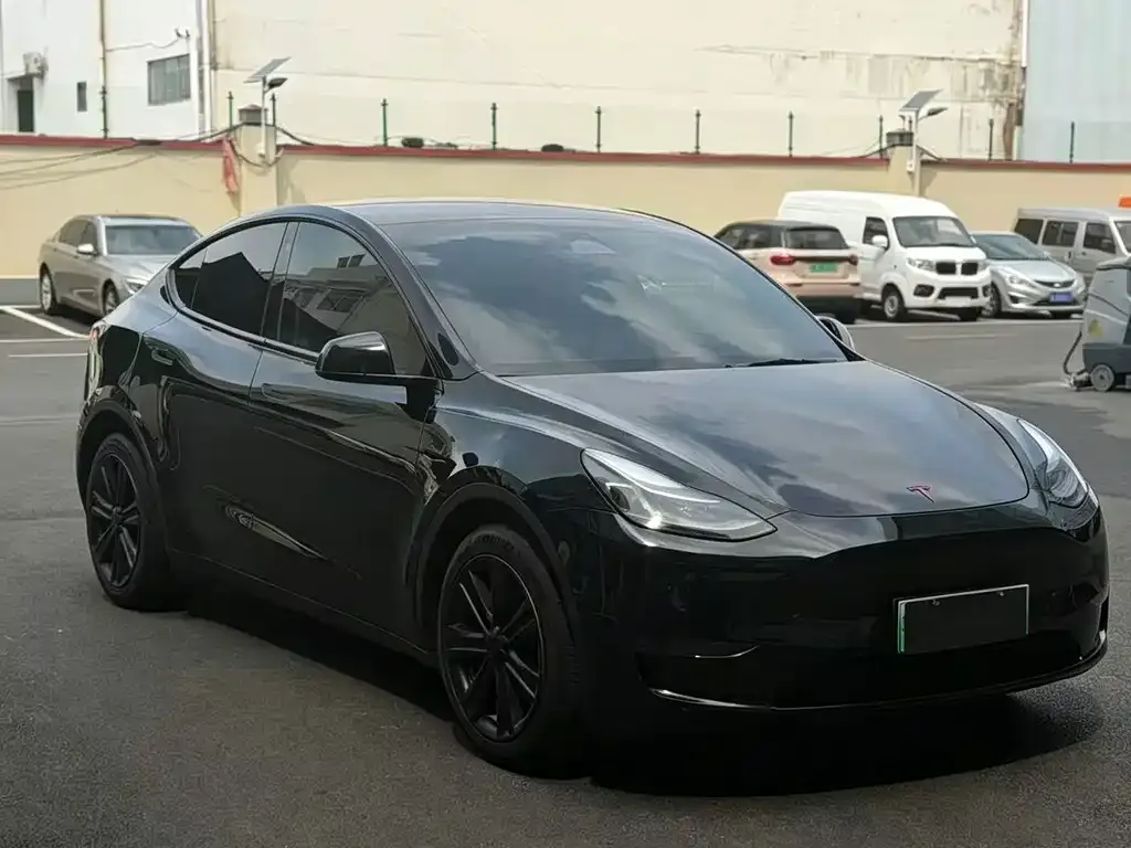 Tesla Model Y — фото 6