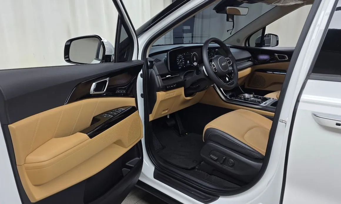 Kia Carnival — фото 10
