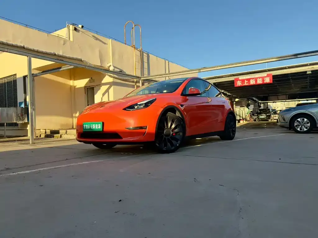 Tesla Model Y — фото 1