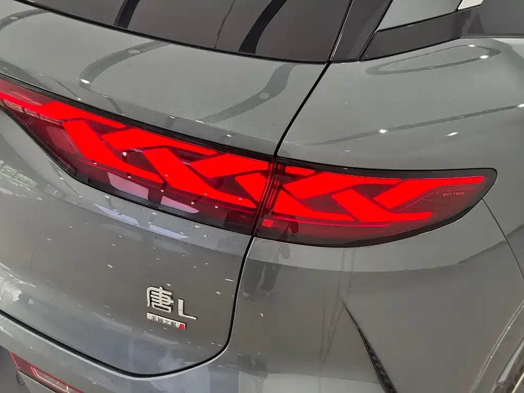 BYD Tang L — фото 3