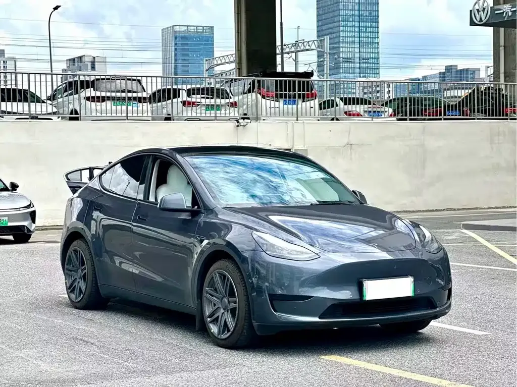 Tesla Model Y — фото 9