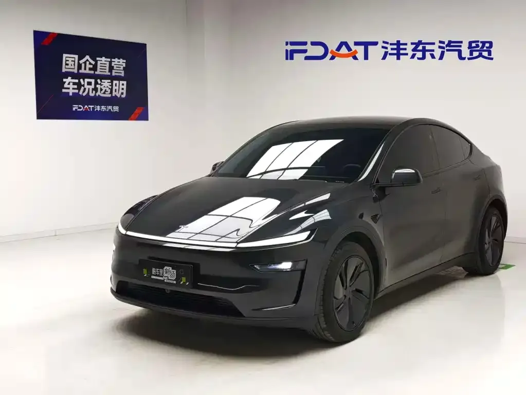 Tesla Model Y — фото 1