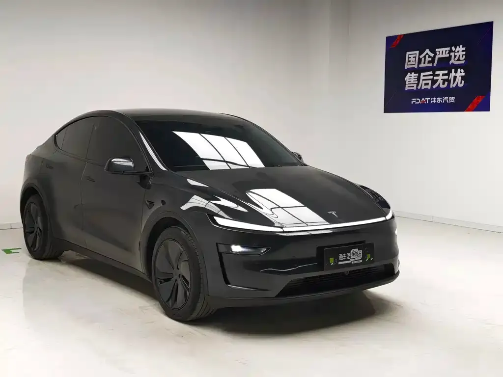 Tesla Model Y — фото 8