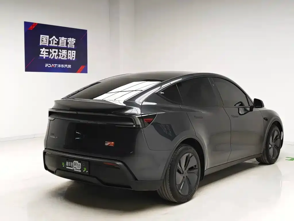Tesla Model Y — фото 7